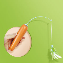2-in-1 Cat Toy
