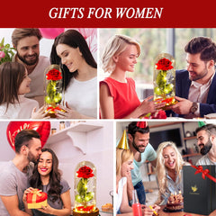 Birthday Gifts for Women,Beauty and the Beast Rose in Glass Dome,Silk Rose Forever Flowers with Lights,Mom Gift,Romantic Gifts for Her,Anniversary Rose Flower Gifts for Women,Gifts for Girlfriend